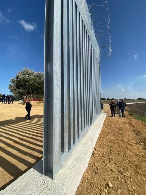 225.jpg