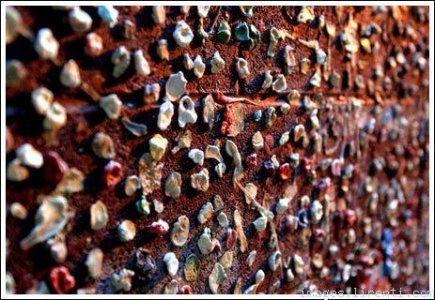 wall-mur-cimcakez.jpg