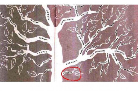 indoe-european tree.jpg