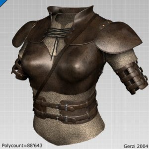 leather_armour_front.jpgcb81fa0f-f0e9-4853-8577-3d5924e71adbLarge.jpg