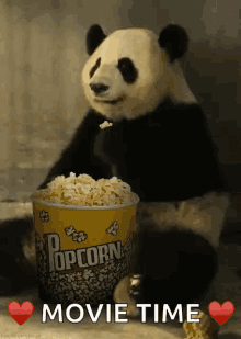 popcorn-panda.gif