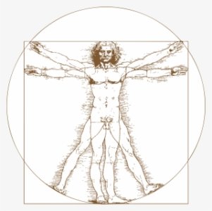 161-1610128_leonardo-da-vinci-vitruvian-man-tattoo-png-download.jpg