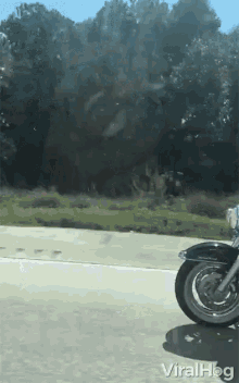 stunt-motorcycle.gif