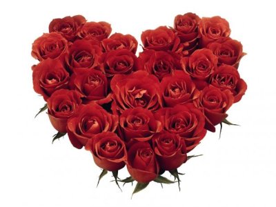 Valentines-day-roses.jpg