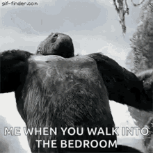 tenor (16).gif