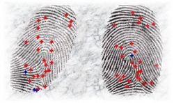 apoarte-cu-date-biometrice-incepand-din-acest-an-2.jpg