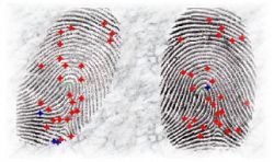 apoarte-cu-date-biometrice-incepand-din-acest-an-2.jpg apoarte-cu-date-biometrice-incepand-din-acest-an-2.jpg