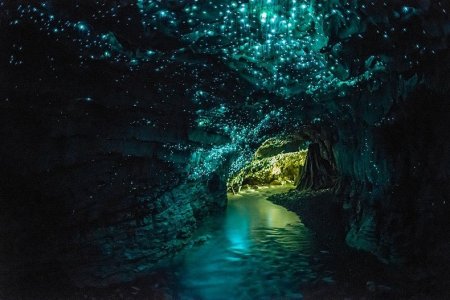 glowworm-caves-waitom-3%25255B6%25255D.jpg