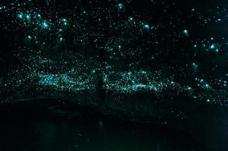 glowworm-caves-waitom-1%25255B2%25255D.jpg