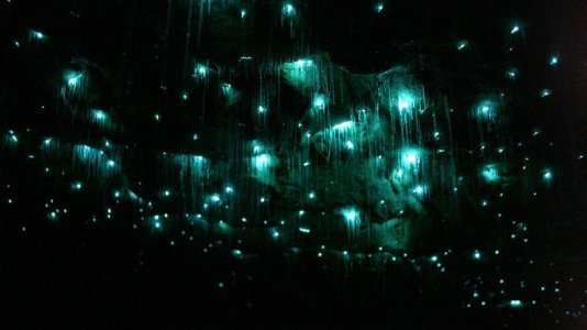 glowworm-caves-waitom-2%25255B2%25255D.jpg