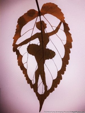 Amazing-Leaf-Art-Work-By-Lorenzo-Duran.jpg