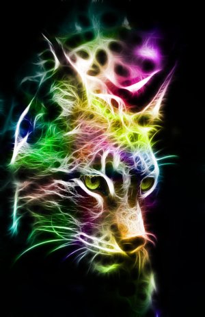 fractal_lynx_by_minimoo64-d4be8q7.jpg