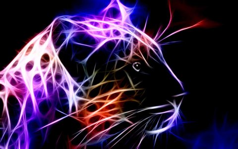 Fractal_Leopard_by_minimoo64.jpg