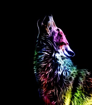 Fractal_Wolf_by_minimoo64.jpg