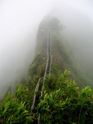 HaikuLadder.jpg