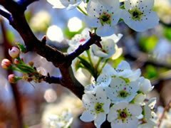 1331741863-dita_veres.jpg 1331741863-dita_veres.jpg