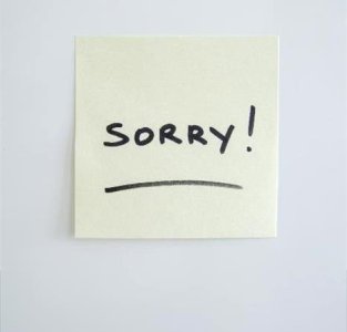 Children-saying-sorry.jpg