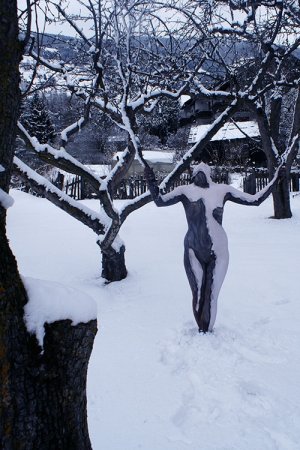 winter-garden-1.jpg