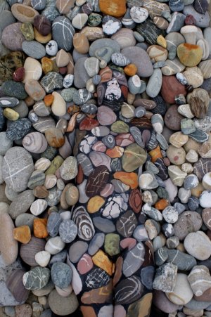 stonebeach-step8_1.jpg
