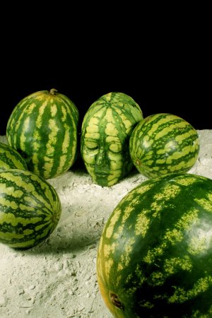 melone-k-1.jpg