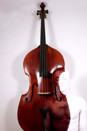 5_johannes_stoetter_double_bass_10_fs.jpg