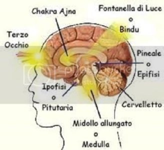 gg_zpssldogg7u.jpg gg_zpssldogg7u.jpg