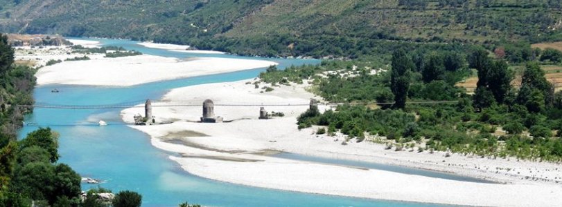 dragoti.jpg dragoti.jpg