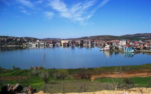 belshi.jpg belshi.jpg