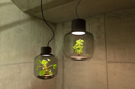 e-lamps-to-grow-plants-in-windowless-spaces-5__880.jpg