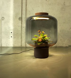 ese-lamps-to-grow-plants-in-windowless-spaces__880.jpg