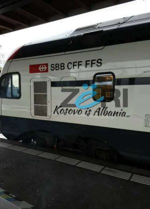 auto_treni-zvicer1_copy1484502865.jpg