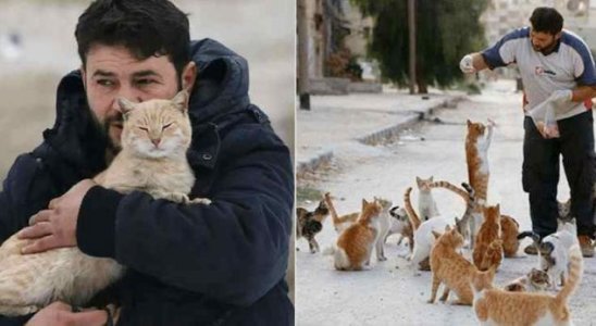 cat-man-aleppo-1_1489857604-4962244.jpg