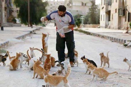 cat-man-aleppo-syria-11_1489857589-7864542.jpg