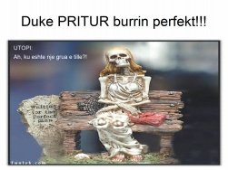 te prit burrin.jpg