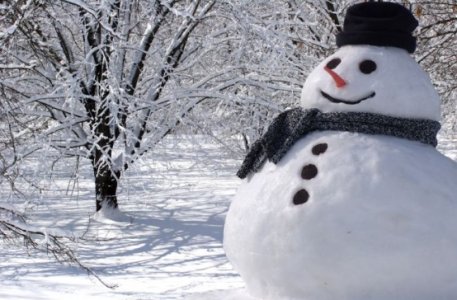 winter-wonderland-snowman.jpg