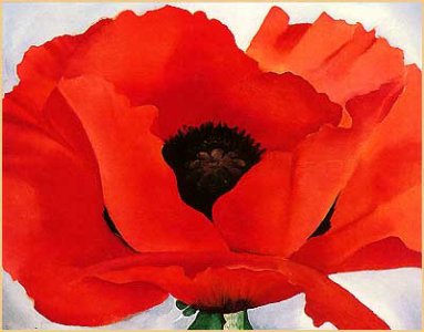 okeeffe_red_poppy+xx.jpg okeeffe_red_poppy+xx.jpg