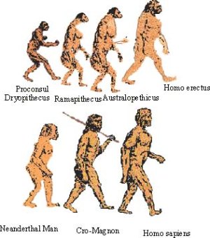 fig12_3.jpg