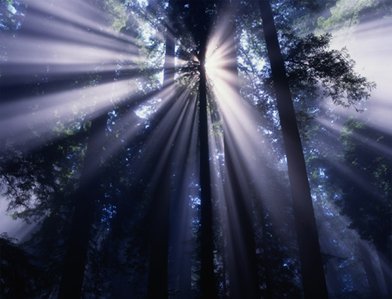 nature.jpg
