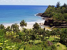 erton_Garden%2C_Kauai%2C_Hawaii_-_view_into_valley.jpg