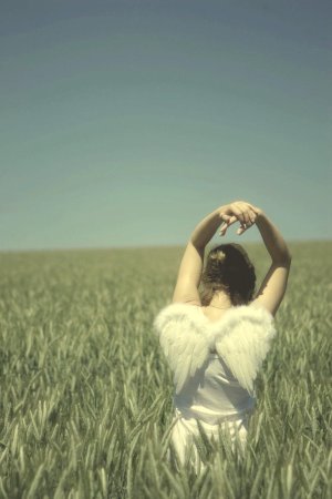 Angels_sleep_in_cornfields_by_RisaSue.jpg