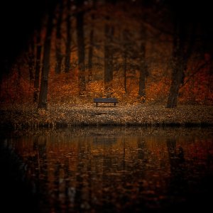 Forgotten_Memories_by_WiciaQ.jpg