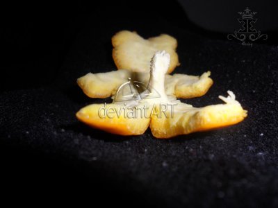 orange_man_by_silverevi3-d4fue1s.jpg