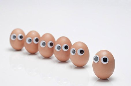 11760-funny-face-type-cute-eggs.jpg