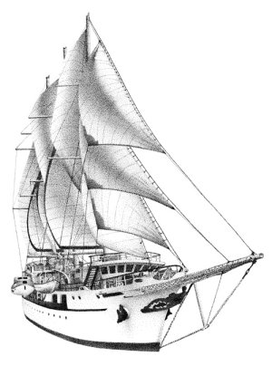 image_main.jpg image_main.jpg