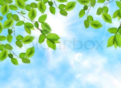 3864824-868629-green-leaf-opposite-sun-and-sky.jpg