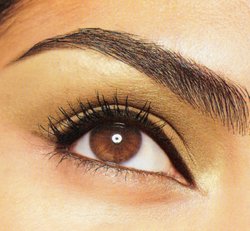 perfect-eyebrow.jpg