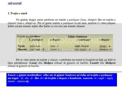 trajta1.jpg