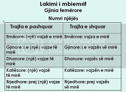 lakimimbiemrit2.jpg