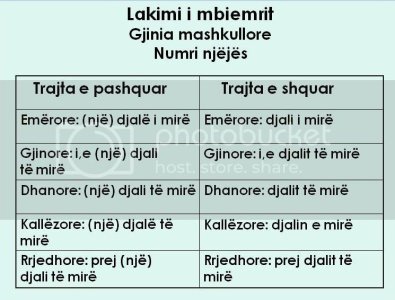 lakimimbiemrit.jpg