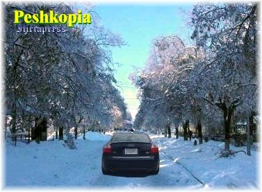 DimrinPeshkopi.jpg